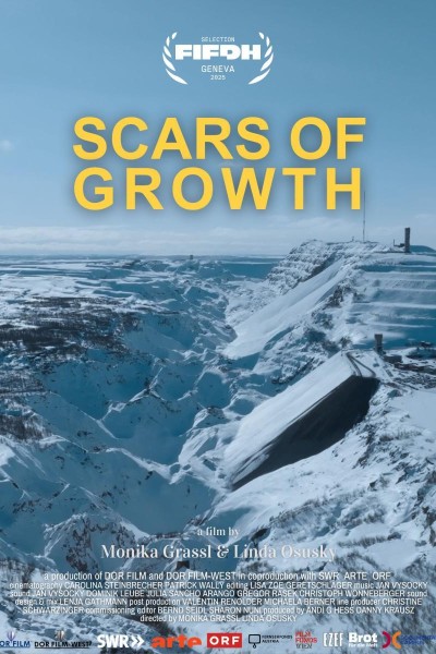 Cubierta de Scars of Growth