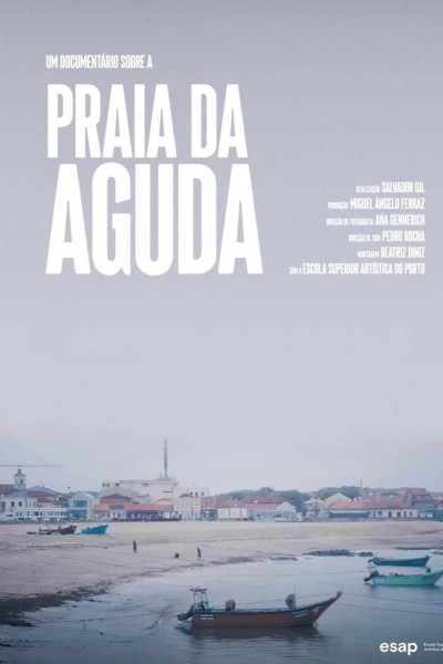 Cubierta de Praia da Aguda