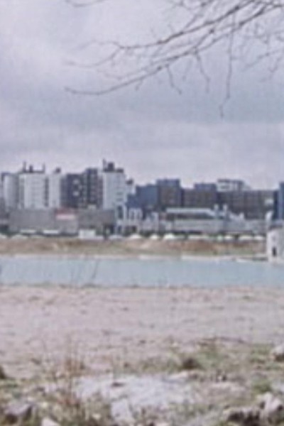 Cubierta de Ciudad nueva