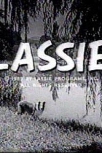 Caratula, cartel, poster o portada de Lassie