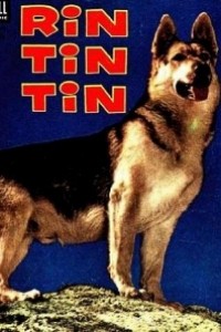 Caratula, cartel, poster o portada de Las aventuras de Rin-Tin-Tin