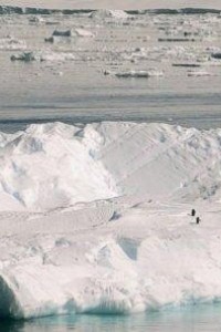 Cubierta de Antarctica: Tales of Ice
