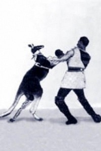 Cubierta de Das boxende Känguruh