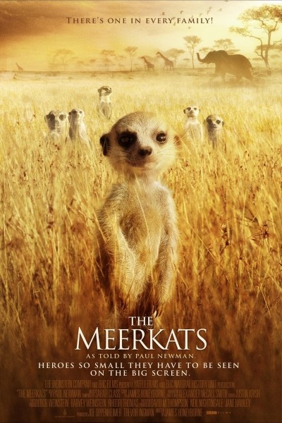 Caratula, cartel, poster o portada de The Meerkats