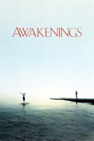 Caratula, cartel, poster o portada de Despertares