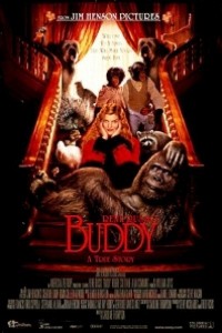 Caratula, cartel, poster o portada de Buddy