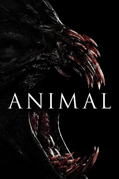 Caratula, cartel, poster o portada de Animal