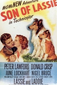 Caratula, cartel, poster o portada de El hijo de Lassie