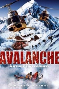Caratula, cartel, poster o portada de Avalancha: Pánico en la cumbre
