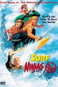 Caratula, cartel, poster o portada de Surf Ninjas