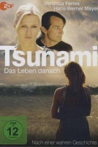 Caratula, cartel, poster o portada de Tsunami: más allá de la tragedia