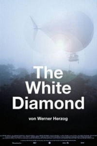 Caratula, cartel, poster o portada de El diamante blanco