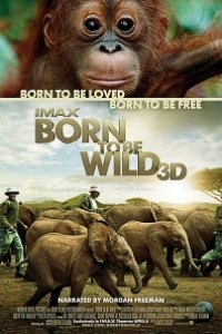 Caratula, cartel, poster o portada de Born to Be Wild