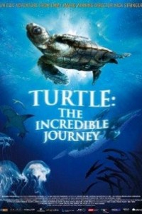 Caratula, cartel, poster o portada de El viaje de la tortuga