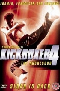 Caratula, cartel, poster o portada de Kickboxer 4: El agresor