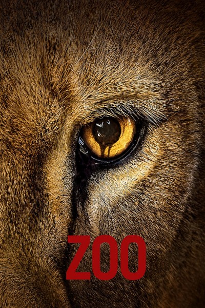 Caratula, cartel, poster o portada de Zoo
