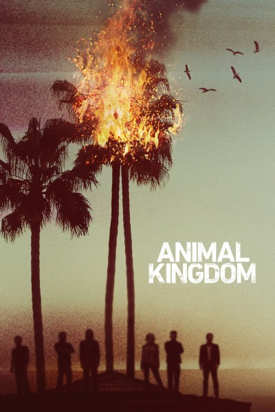 Caratula, cartel, poster o portada de Animal Kingdom