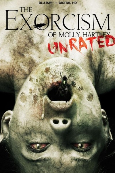 Caratula, cartel, poster o portada de El exorcismo de Molly Hartley