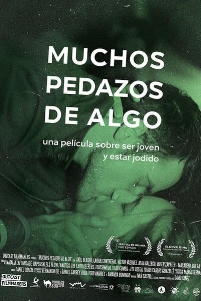 Caratula, cartel, poster o portada de Muchos pedazos de algo