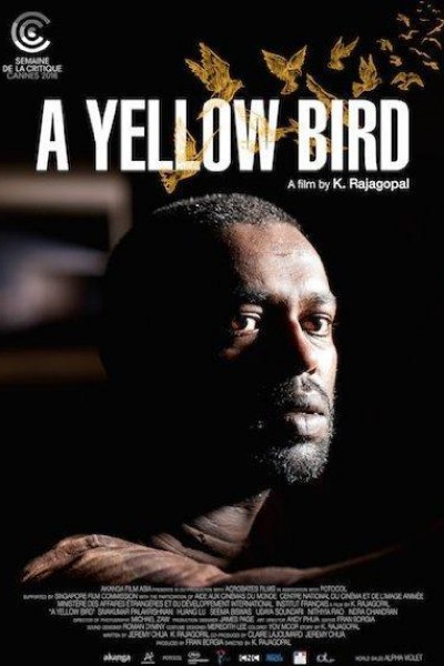 Caratula, cartel, poster o portada de A Yellow Bird