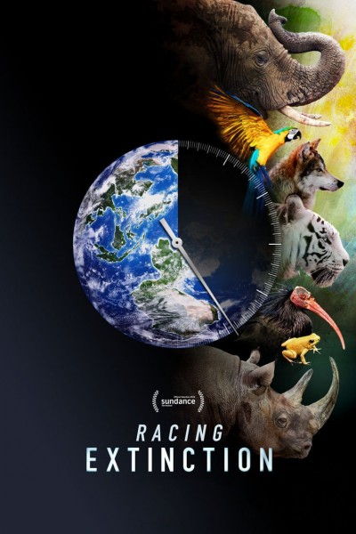 Caratula, cartel, poster o portada de Racing Extinction