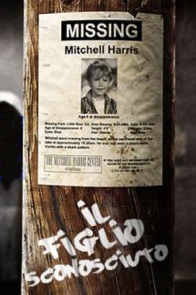 Caratula, cartel, poster o portada de Identidad perdida