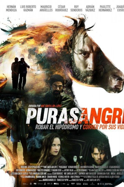 Caratula, cartel, poster o portada de Purasangre