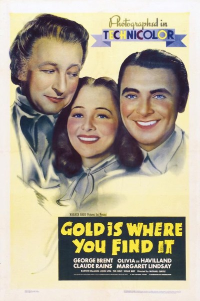 Caratula, cartel, poster o portada de En busca del oro