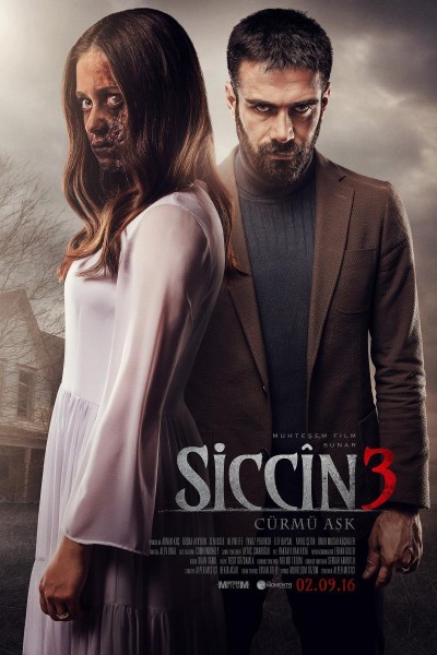 Caratula, cartel, poster o portada de Siccin 3