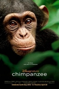 Caratula, cartel, poster o portada de Chimpancé