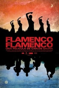 Cubierta de Flamenco, Flamenco