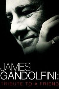 Caratula, cartel, poster o portada de James Gandolfini: Tribute To A Friend