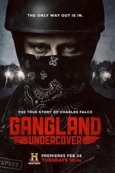 Caratula, cartel, poster o portada de Gangland Undercover