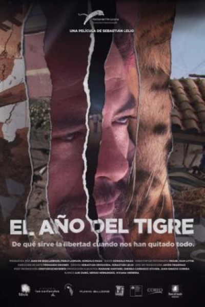 Cubierta de El año del tigre