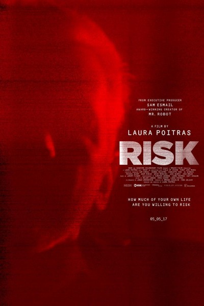 Caratula, cartel, poster o portada de Risk