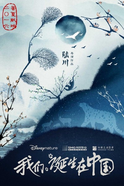 Caratula, cartel, poster o portada de Born in China