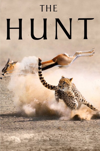 Caratula, cartel, poster o portada de La caza