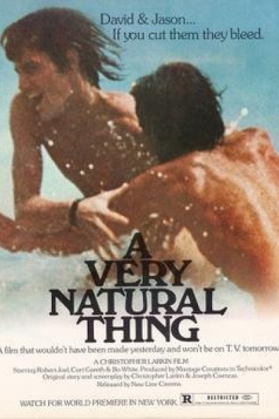 Caratula, cartel, poster o portada de A Very Natural Thing