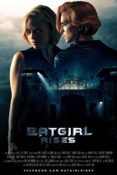 Cubierta de Batgirl Rises