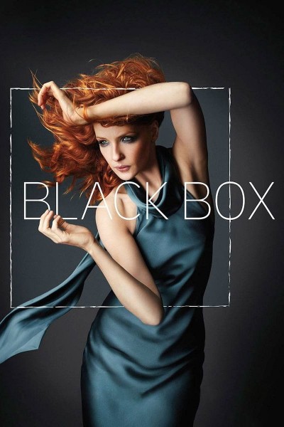 Caratula, cartel, poster o portada de Black Box