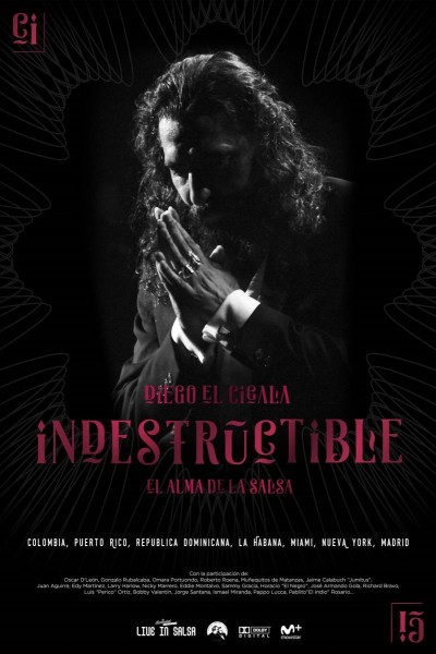 Caratula, cartel, poster o portada de Indestructible