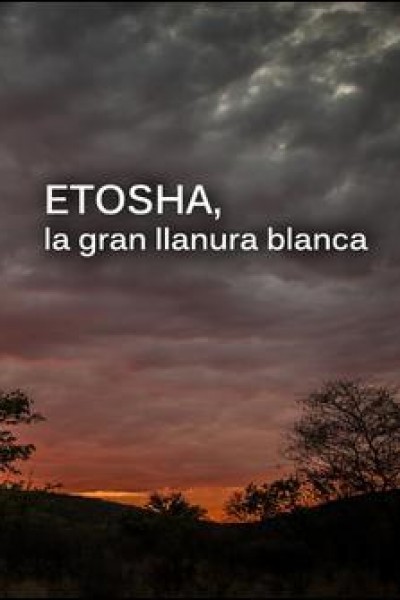 Cubierta de Etosha, la gran llanura blanca