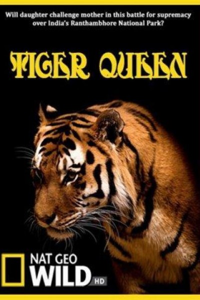 Caratula, cartel, poster o portada de Tiger Queen