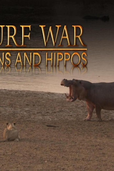 Cubierta de Guerra territorial - Leones e hipopótamos