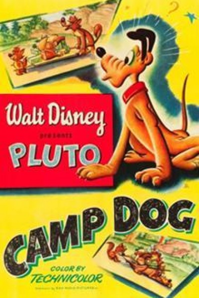 Caratula, cartel, poster o portada de PLuto: Camp Dog