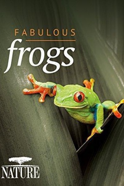 Caratula, cartel, poster o portada de Fabulous Frogs