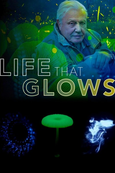 Caratula, cartel, poster o portada de Attenborough\'s Life That Glows