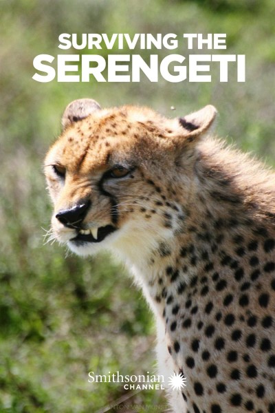 Cubierta de Surviving the Serengeti