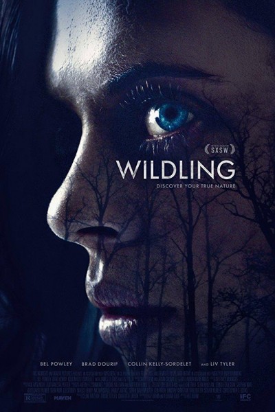 Caratula, cartel, poster o portada de Wildling