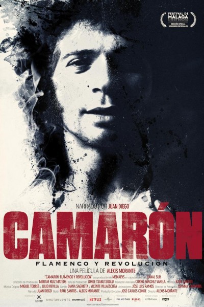 Caratula, cartel, poster o portada de Camarón: Flamenco y revolución